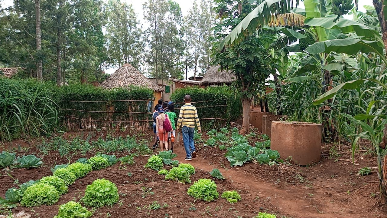 Le potager 2