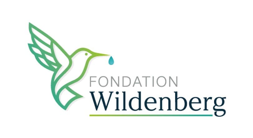 Image7